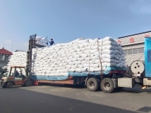 把握機(jī)遇、鉚足干勁、承勢(shì)而上