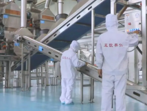 2025年的第一個(gè)月，承德亞歐果仁有限公司在山杏產(chǎn)業(yè)的道路上持續(xù)奮進(jìn)，展現(xiàn)出蓬勃的發(fā)展活力。